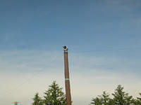 DSCN4387